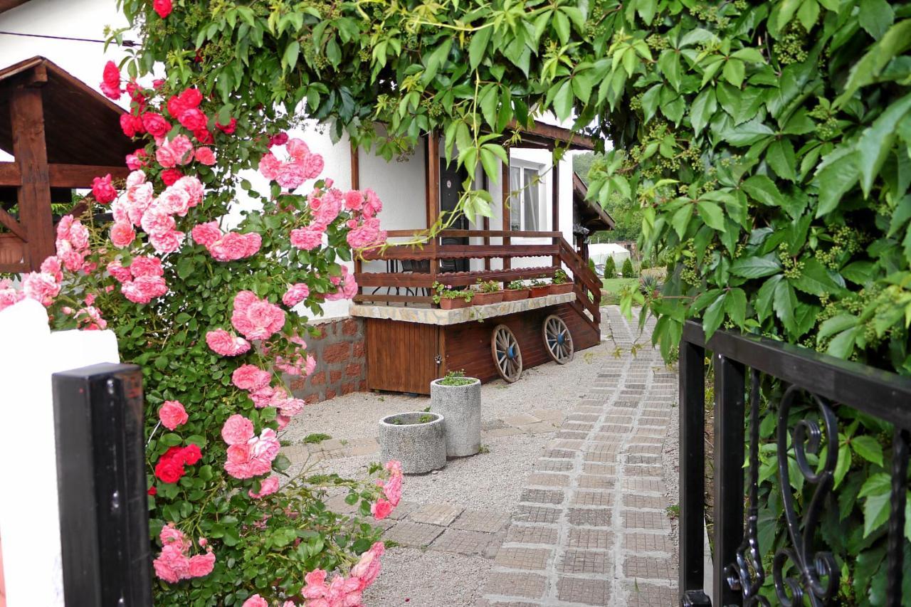 Guest House Medina Bełogradczik Zewnętrze zdjęcie