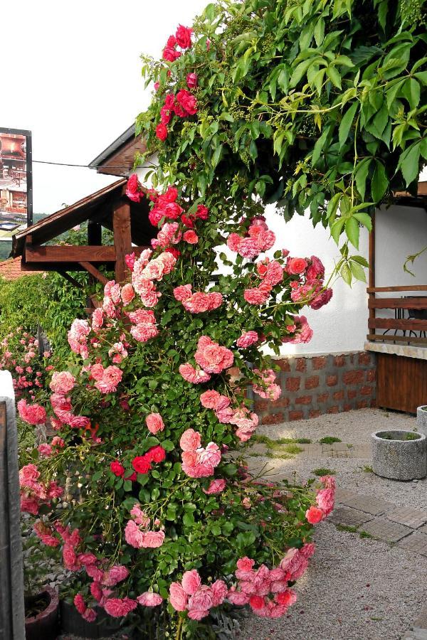 Guest House Medina Bełogradczik Zewnętrze zdjęcie