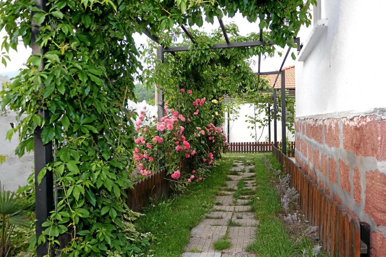 Guest House Medina Bełogradczik Zewnętrze zdjęcie